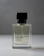 BOSS BABY inspired by Hugo boss